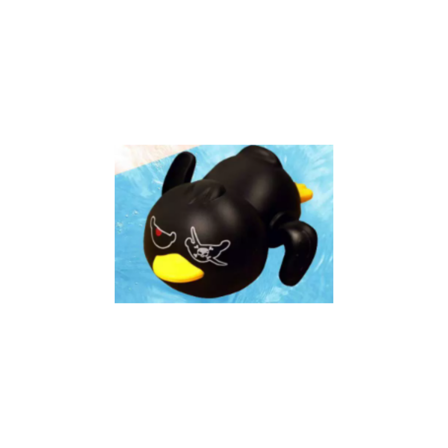Duck